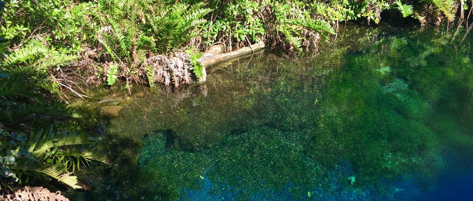 Cenote Xunaan-Ha Mexico