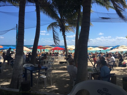 local Seafood Restaurant Playa Del Carmen