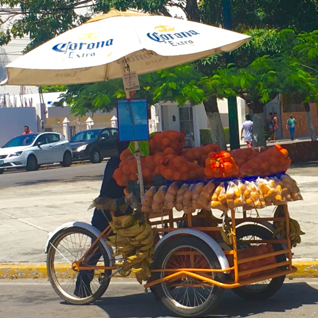 A tricycle bike selling fruit in the streets of Playa.