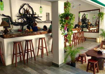 The Green Village Restaurant Playa Del Carmen