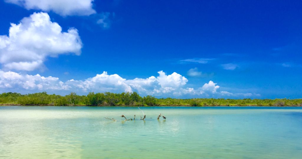 Cabo Catoche Tour Holbox Island