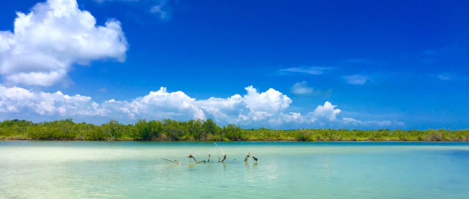 Cabo Catoche Tour Holbox Island