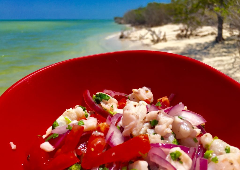 Cabo Catoche Tour Holbox Island