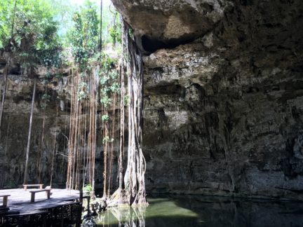 Xux Ha Cenote Yucatan