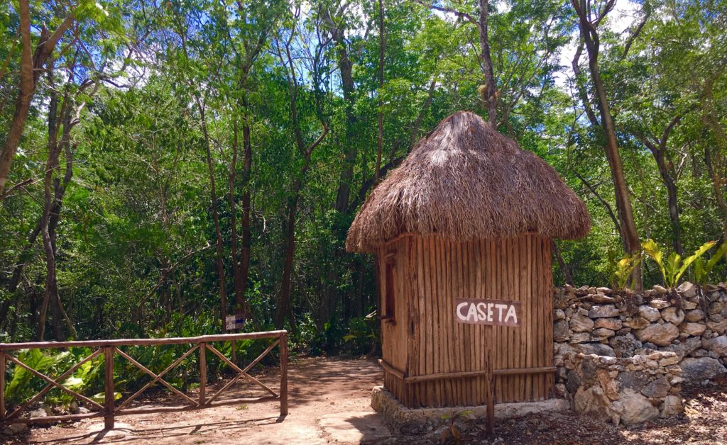 Xux Ha Cenote Yucatan