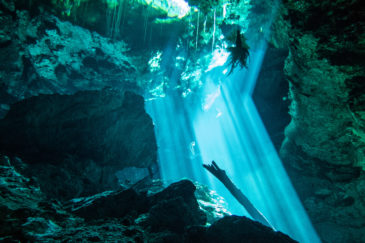 Best dive shop Playa del Carmen Mexico with Tank Ha Dive shop