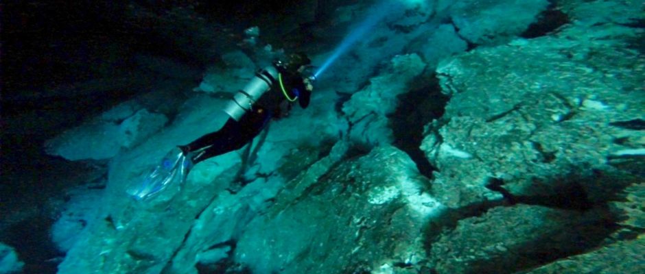 Diving with blue Life Dive Shop Playa Del Carmen