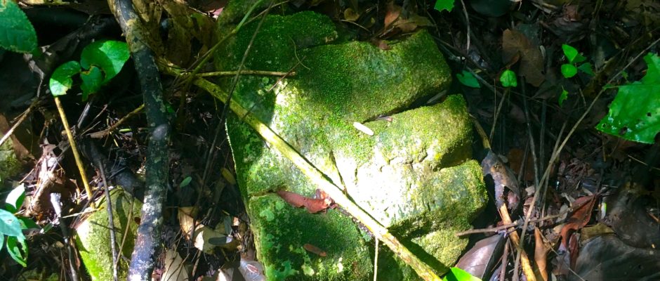 Jungle trekking, hogy megtaláljuk a maja romokat Mexikóban