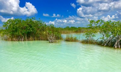 Boat tour Laguna Bacalar