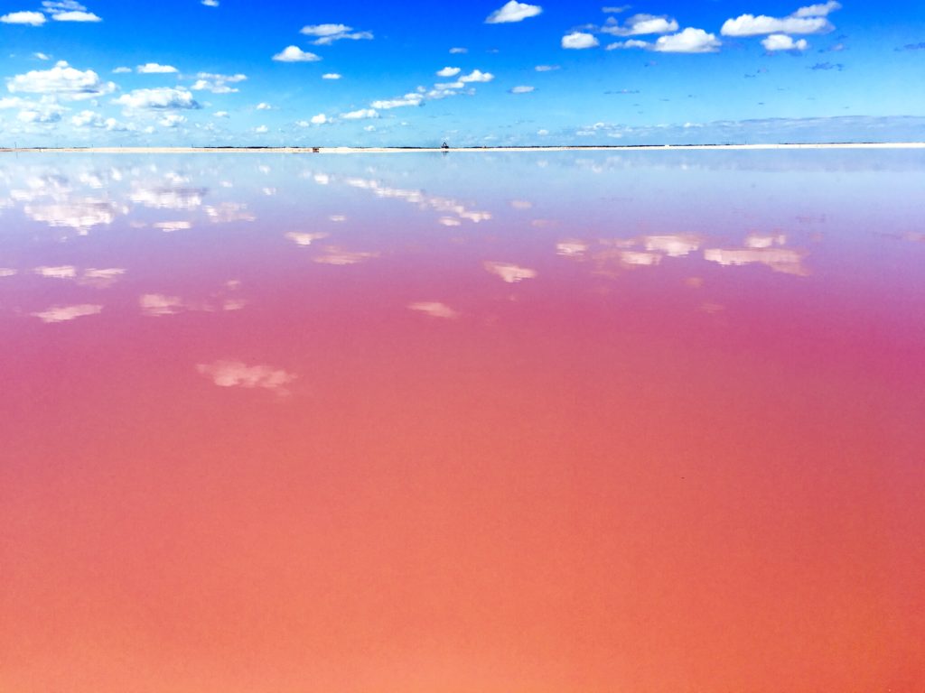 Las Coloradas Yucatan pink water