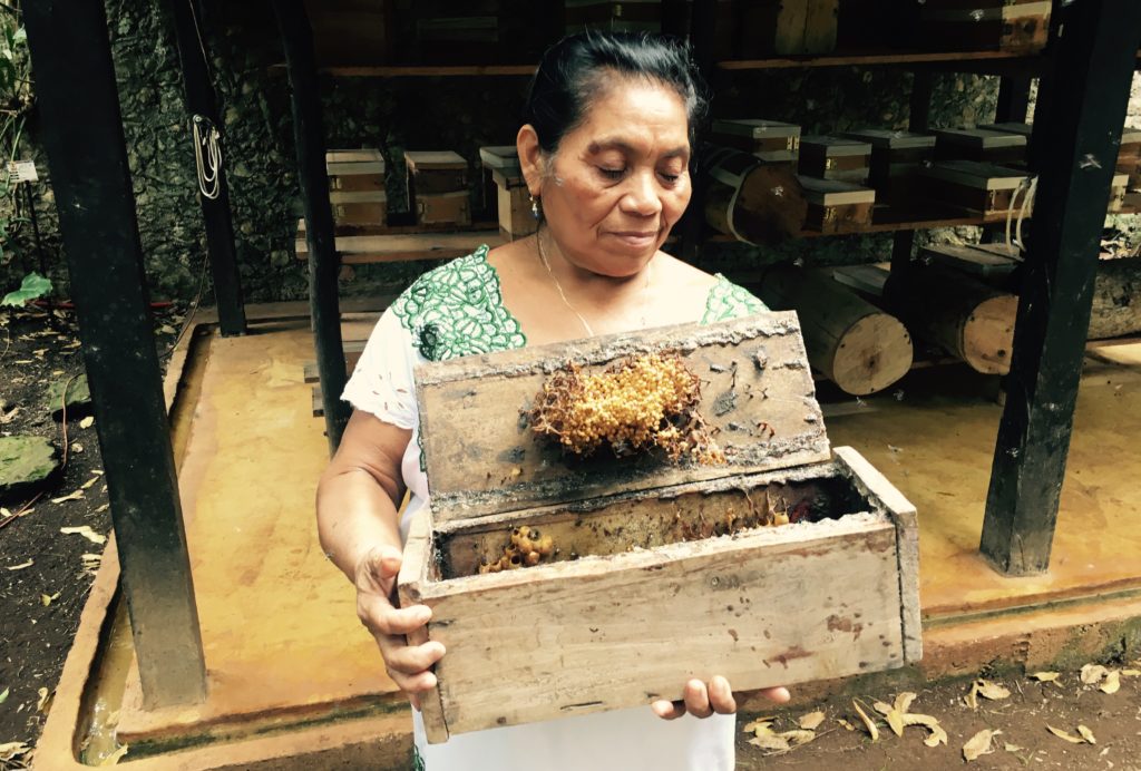 yucatan honey