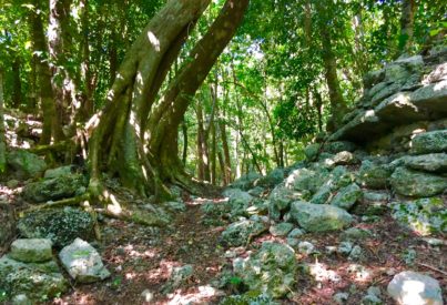 El Naranjal Mayan Ruins Mexico