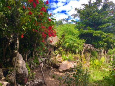 Mystikal Wanders Private tours Tulum