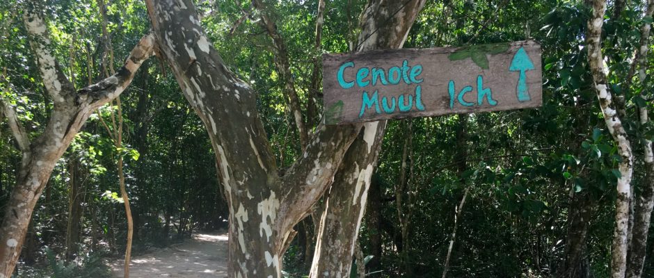 Cenote Muul Ich