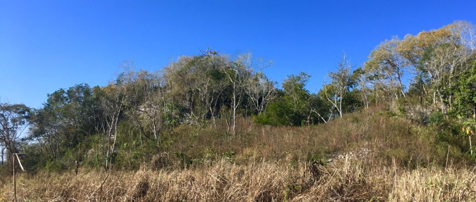 Yaxunah Mayan ruins