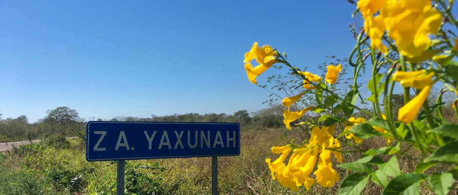 Yaxunah Mayan ruins Yucatan