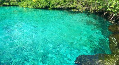 See the amazingly clear waters of Casa Cenote - Everything Playa Del Carmen