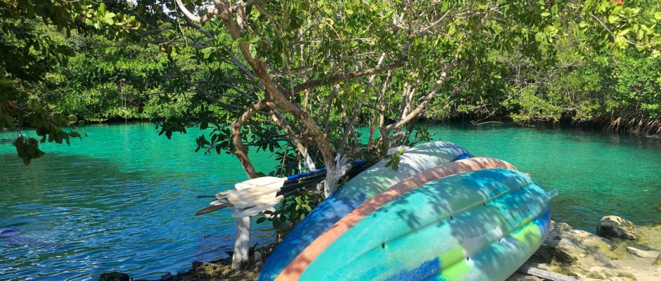 Cenotes close to Playa Del Carmen to visit