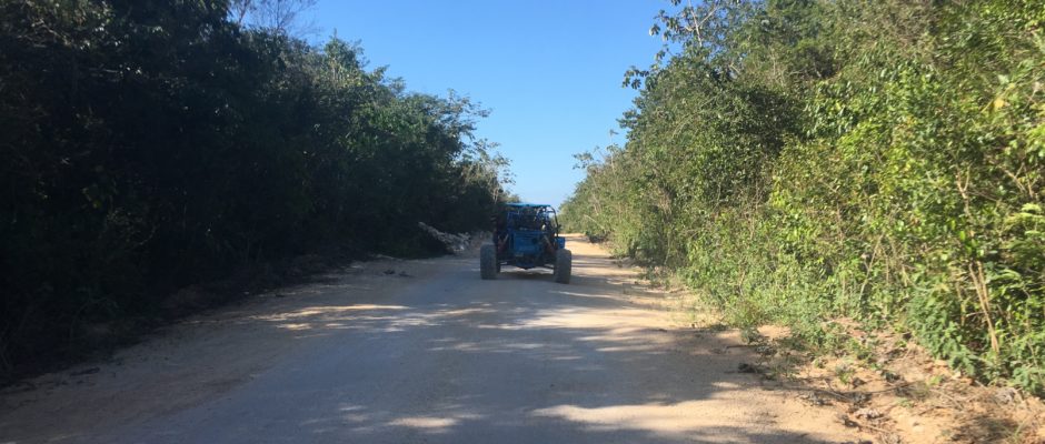 rent buggy jungle tour Playa Del Carmen