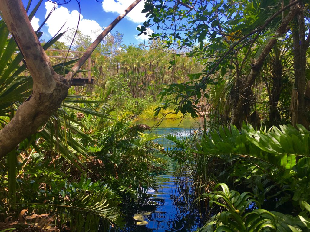 Cenote Cristal Tulum