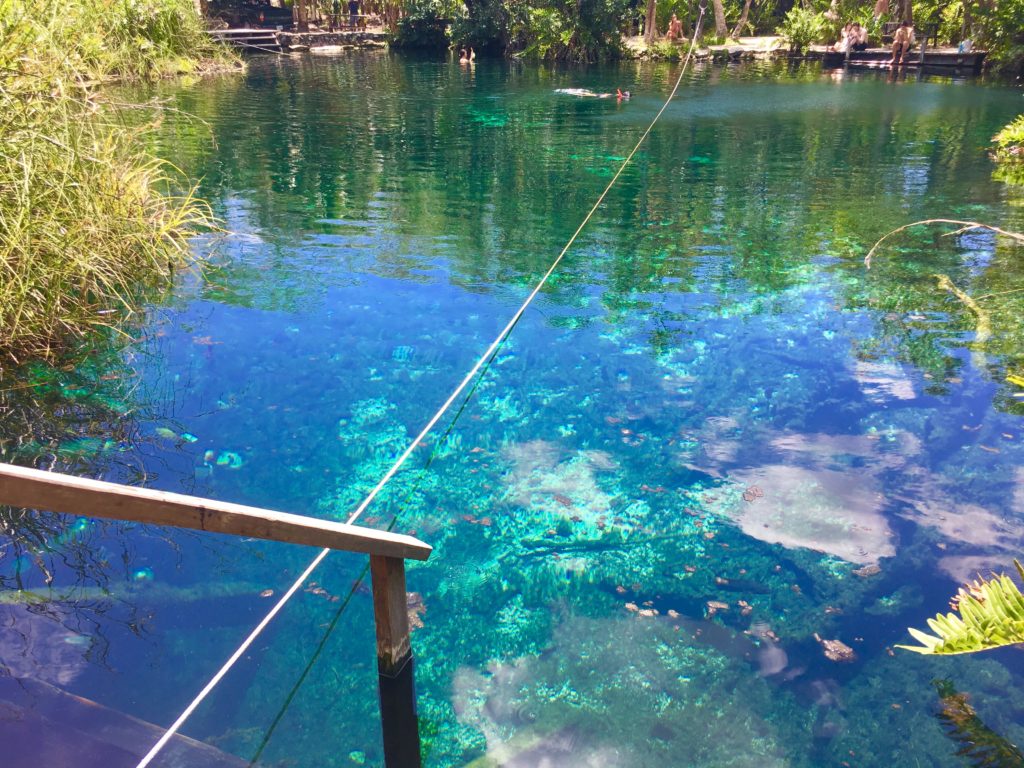 Cenotes Tulum