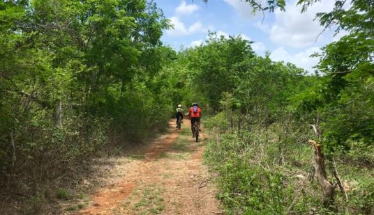 Ecotourism in Mexico