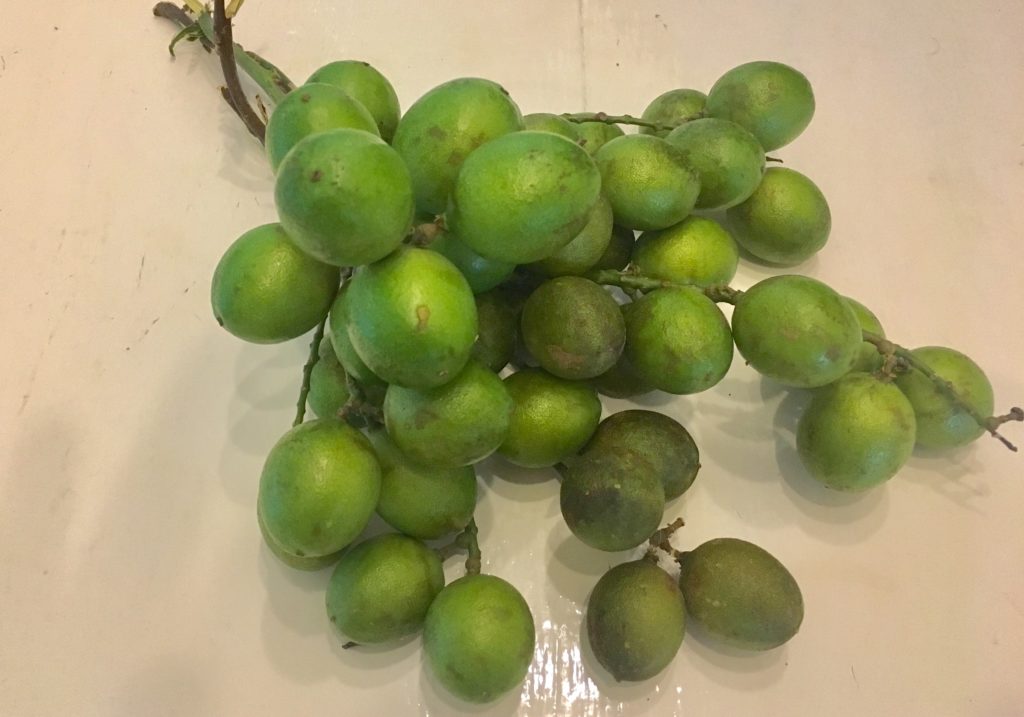 The little known local huaya fruit (aka guaya) - Everything Playa Del