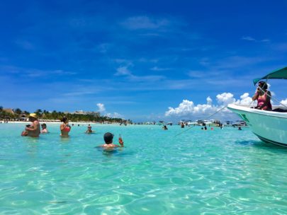 Whale sharks dolphins and rainbows oh my Another tour with