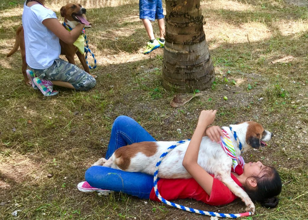 CEBIAM volunteering with dogs