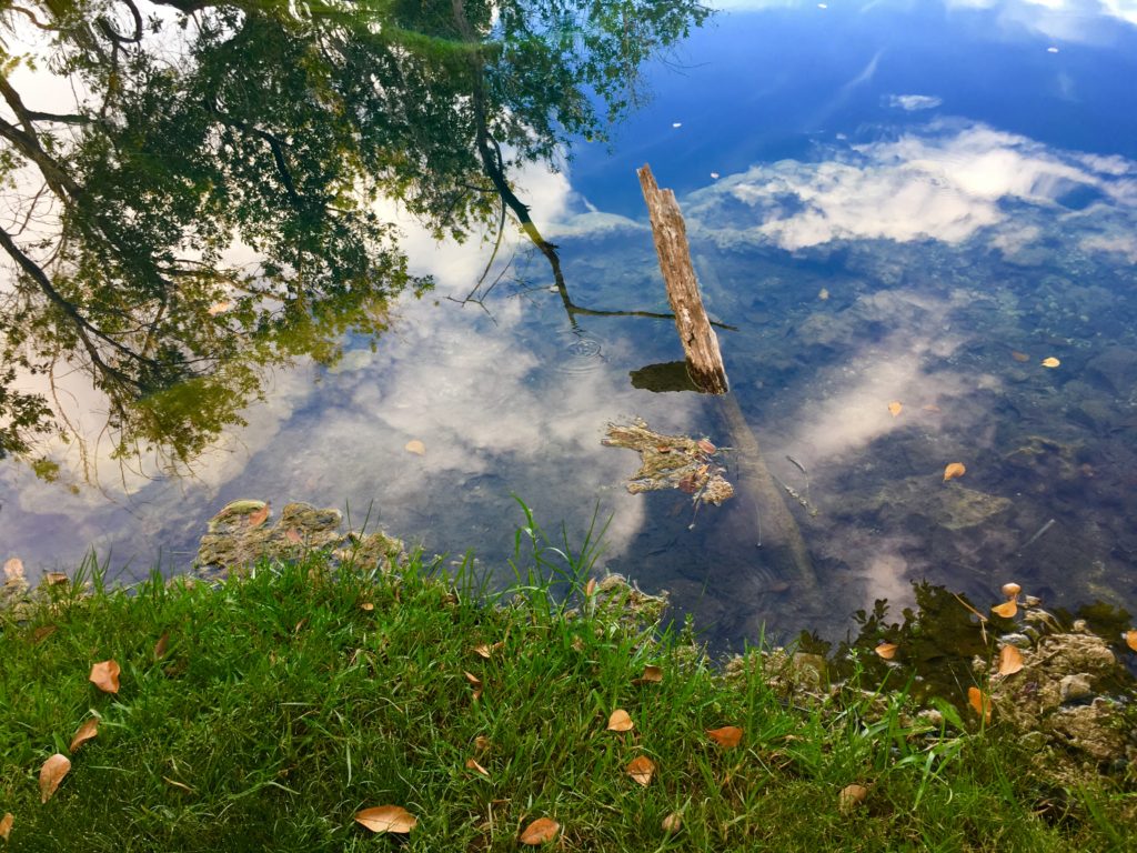 Cenote Azul Bacalar