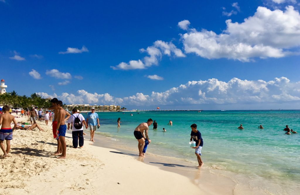 seaweed playa del carmen