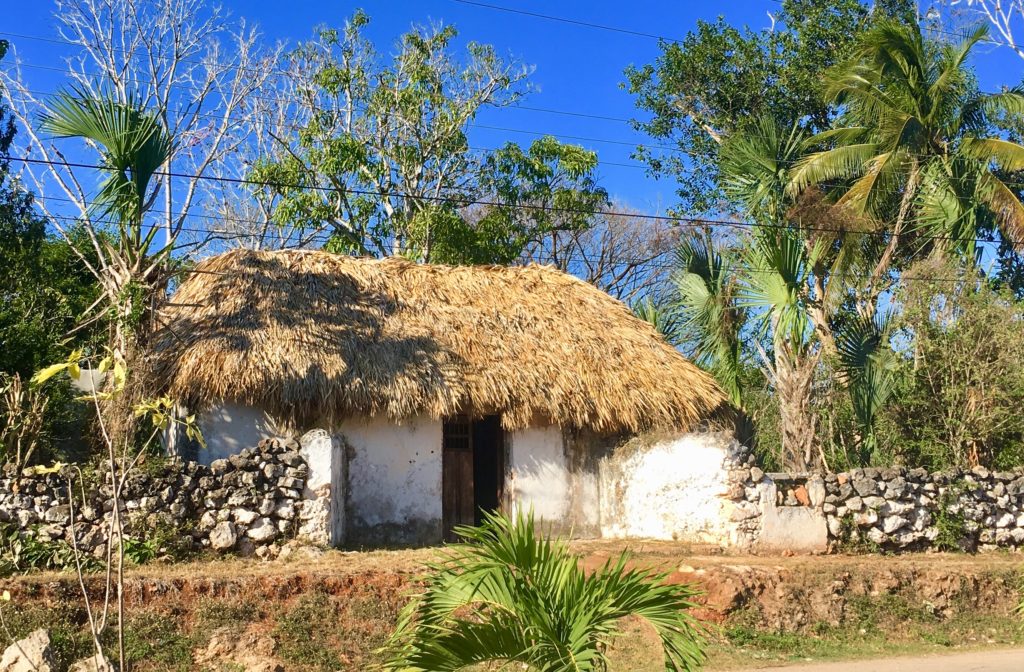 Maya House