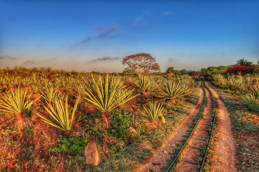 Hacienda Sotuta de Peon