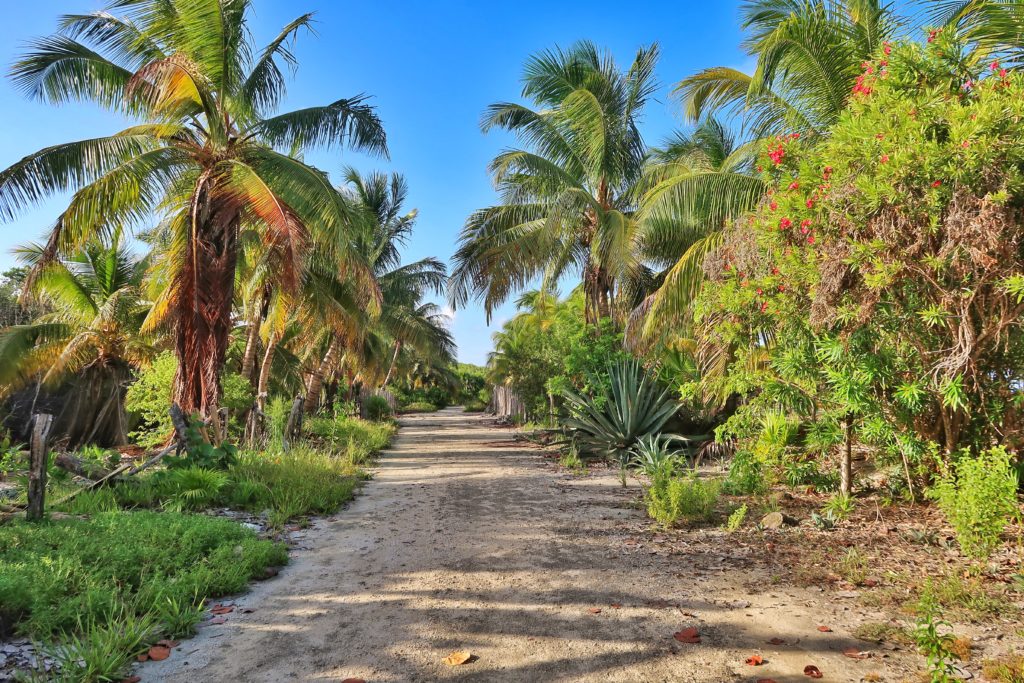 Cabañas Ecoturísticas Costa Maya