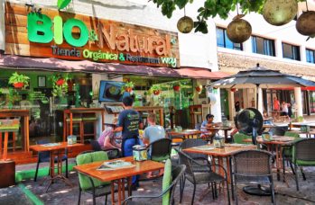 vegetarian restaurants in Playa Del Carmen