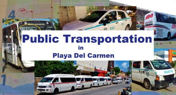 Playa Del Carmen Public transportation