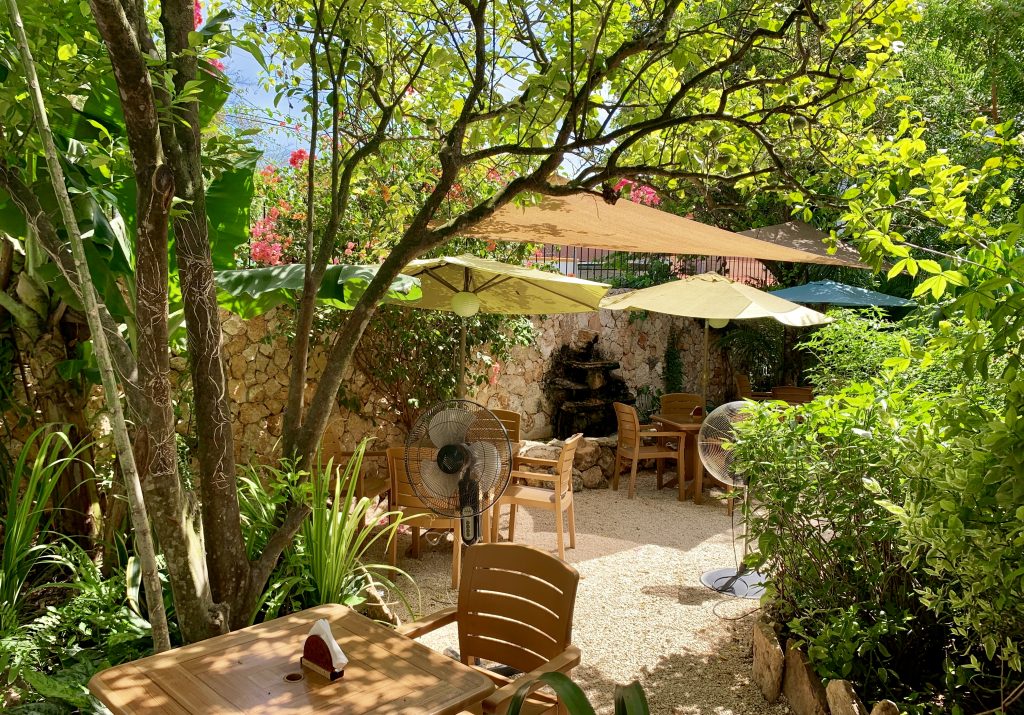 Valladolid restaurants