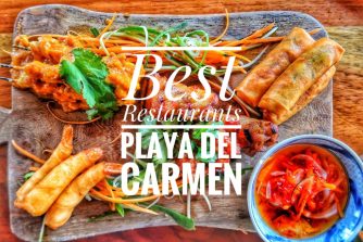 Playa Del Carmen Guides