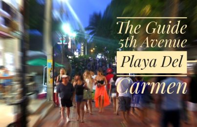 things to do 5th avenue playa del carmen