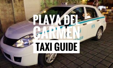 how to get a taxi in playa del carmen