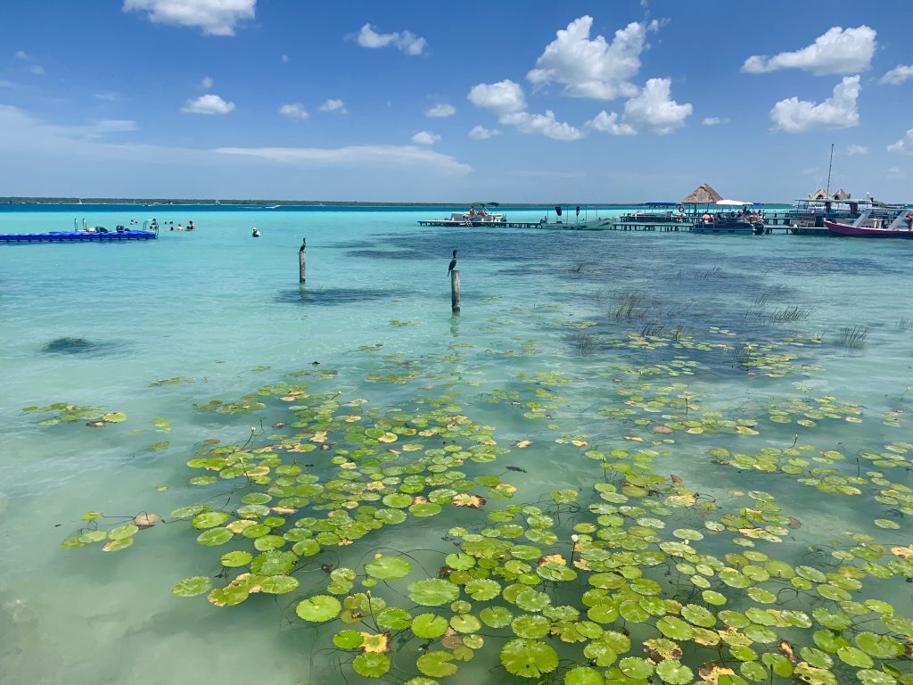 Bacalar