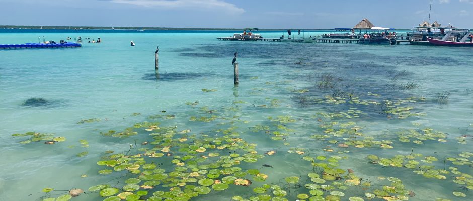 Bacalar