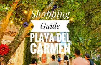 Playa Del Carmen Guides