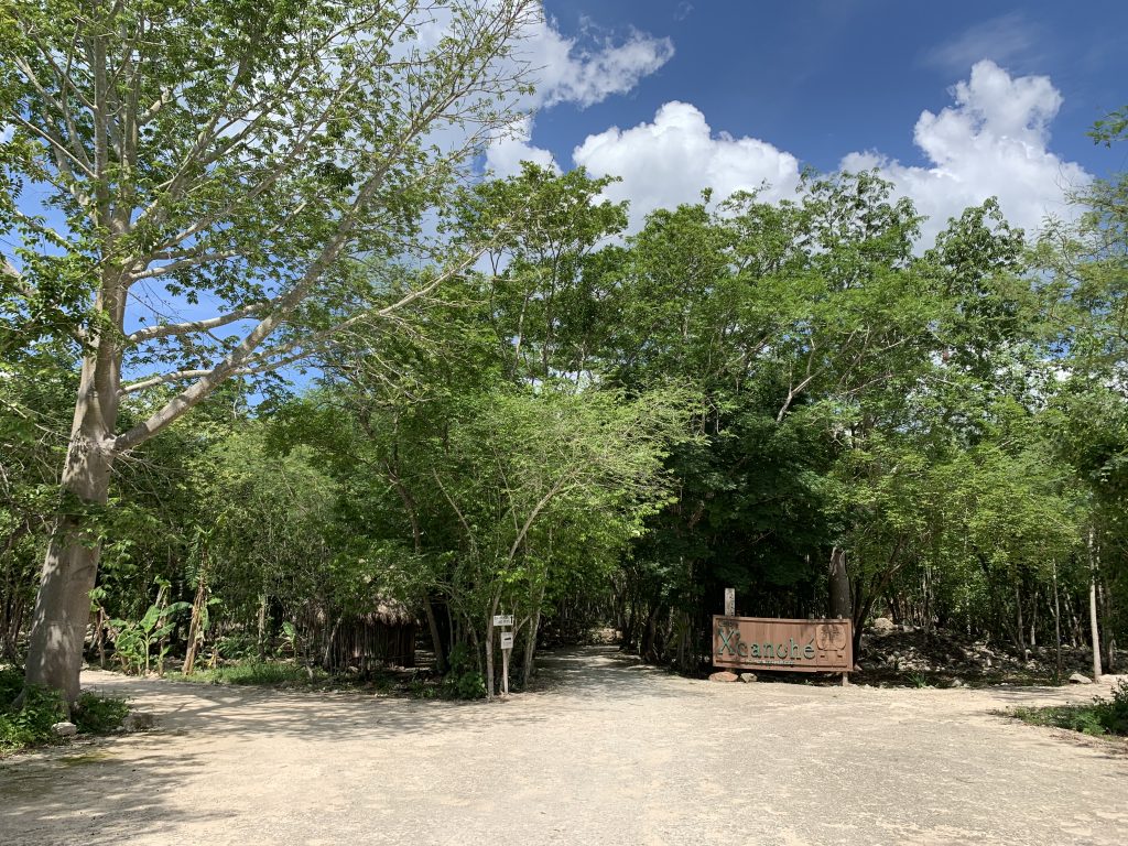 Ek Balam Cenote