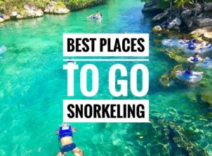 Where To Go Snorkeling In Playa Del Carmen And Nearby Everything