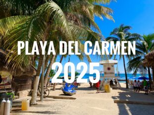 future playa del carmen