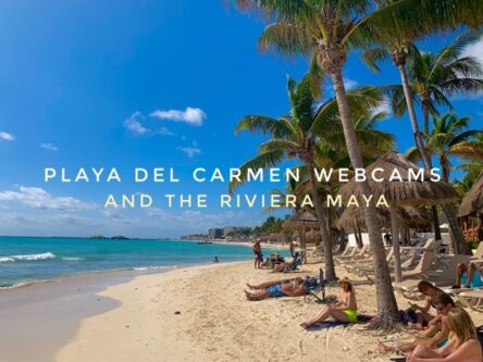 Webcam playa discount