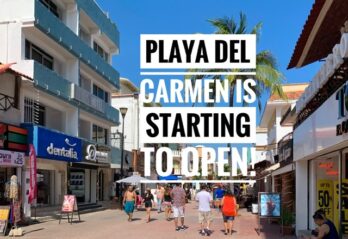 Playa Del Carmen opening