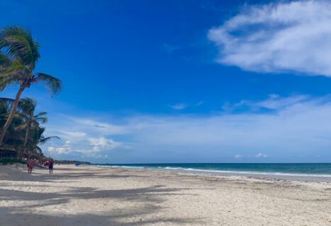 which is better Tulum or Playa Del Carmen