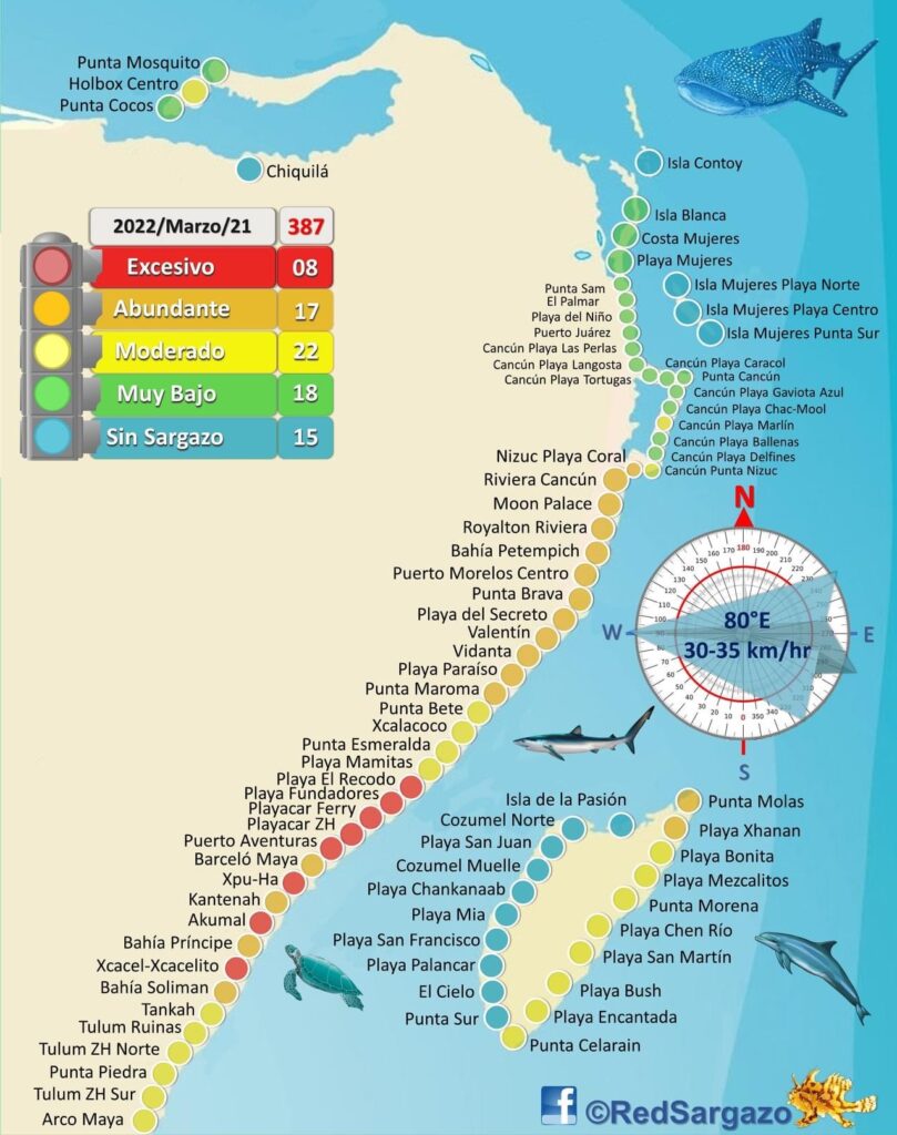 Seaweed map